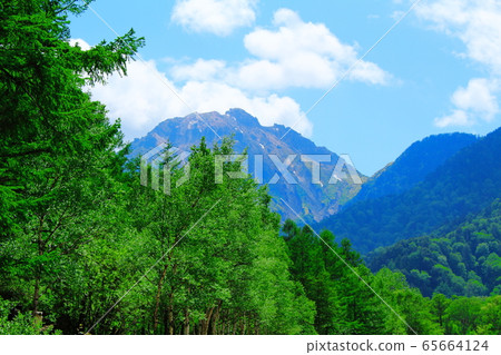 Beautiful Northern Alps 2005: Fresh green Kamikochi 2005 65664124