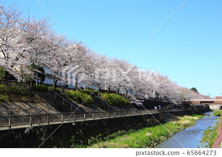沙奎基河風光 沙奎基河風光 65664273