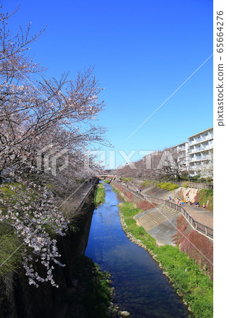 Shakujii River scenery Shakujii River scenery 65664276