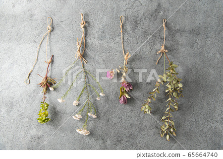 Dried flowers on concrete background 65664740