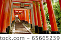 伏見稻荷神社Torigai 65665239
