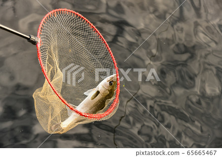 Was fished! 65665467