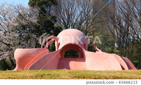 公園 公園 65666215