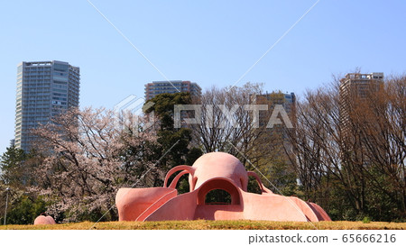公園 公園 65666216