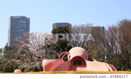 公園 公園 65666217