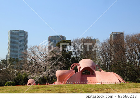 公園 公園 65666218