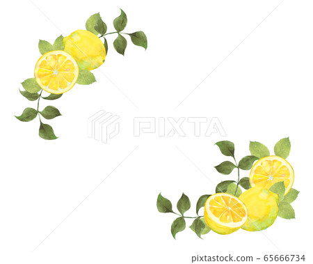 檸檬框架 65666734
