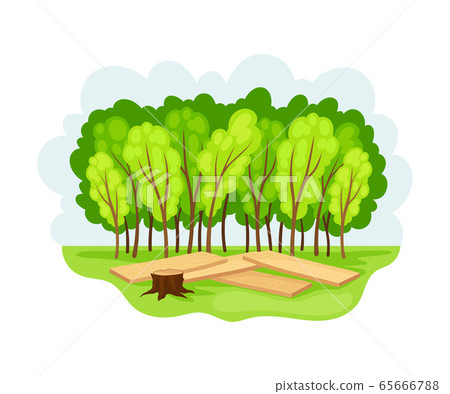 Wood and Forest Area as Natural Resource Vector Illustration 65666788