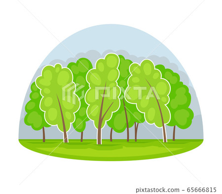 Wood and Forest Area as Natural Resource Vector Illustration Wood and Forest Area as Natural Resource Vector Illustration 65666815