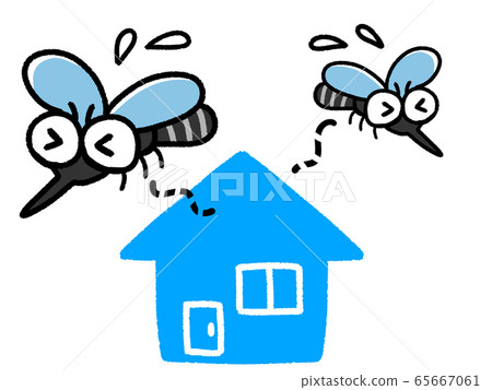 Two mosquitoes pest summer running away from home 65667061