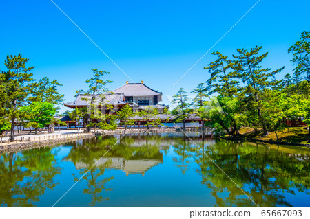 Kagami Pond and Todaiji Temple Buddha 65667093