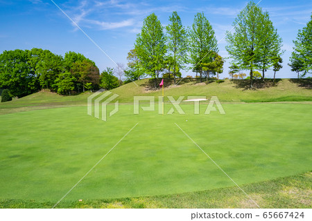 Golf course putting green 65667424