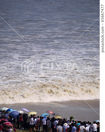 杭州錢塘江主要回流 杭州錢塘江主要回流 65667477