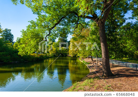 Jardin public garden in Bordeaux 65668048