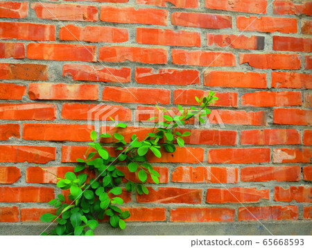 Red brick wall 65668593