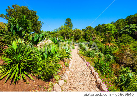 Monserrate Palace garden in Sintra, Portugal 65669640