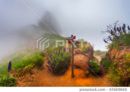 Pico Arieiro to Pico Ruivo landscape 65669668