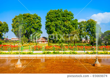 Garden in Srinagar city, India 65669874
