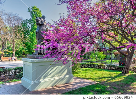 City garden in Odessa, Ukraine 65669924