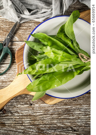 Wild bear's garlic. 65669954