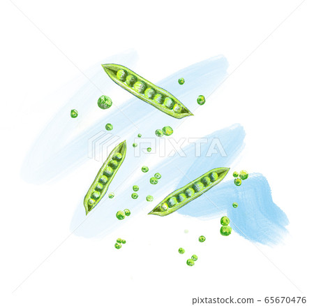 Pea illustration. illustration of a pea on white background Pea illustration. illustration of a pea on white background 65670476