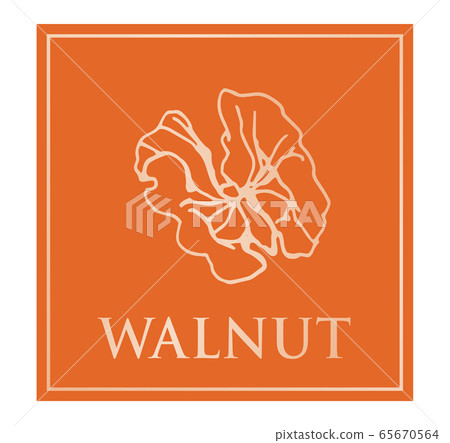 Walnut label 65670564