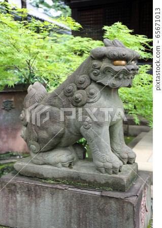 Koma dog at Hakusan Shrine Koma dog at Hakusan Shrine 65671013