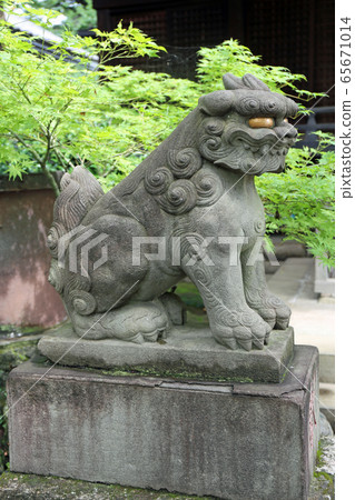 Koma dog at Hakusan Shrine Koma dog at Hakusan Shrine 65671014