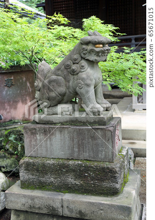 Koma dog at Hakusan Shrine Koma dog at Hakusan Shrine 65671015