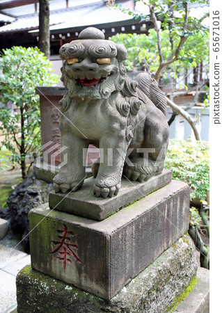 Koma dog at Hakusan Shrine Koma dog at Hakusan Shrine 65671016