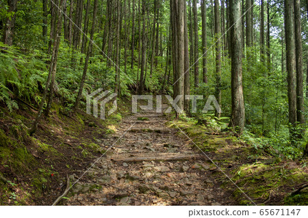 熊野古道 熊野古道 65671147