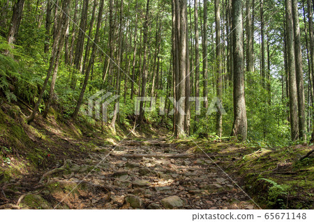 熊野古道 熊野古道 65671148