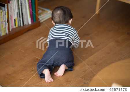 8個月大的男孩 65671578