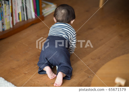 8個月大的男孩 65671579