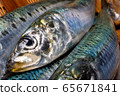 沙丁魚 65671841