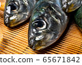 沙丁魚頭 65671842