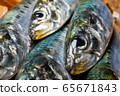 沙丁魚 65671843