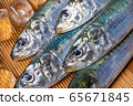 沙丁魚 65671845