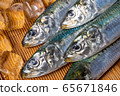 沙丁魚 65671846