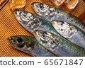 沙丁魚， 65671847