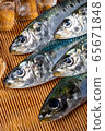 沙丁魚 65671848