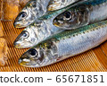 沙丁魚 65671851