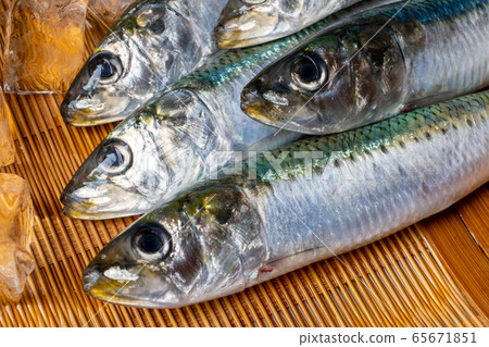 沙丁魚 65671851