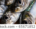 沙丁魚的頭 65671852