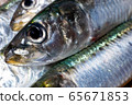 沙丁魚 65671853