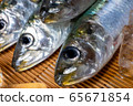 沙丁魚頭 65671854