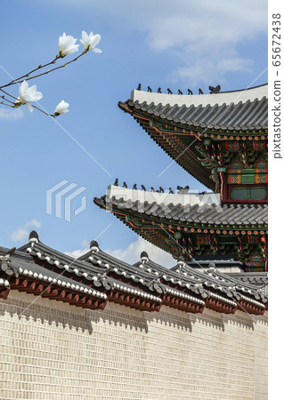 Gwanghwamun 65672438
