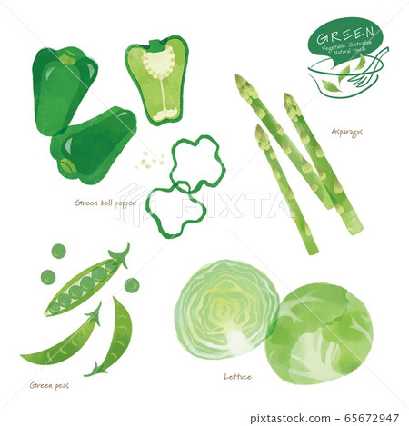 綠色蔬菜插圖/什錦/手繪風格 65672947