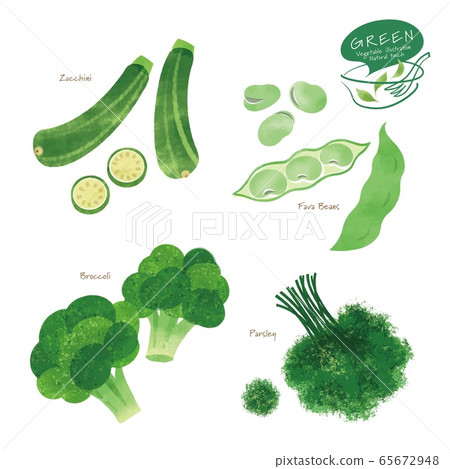 綠色蔬菜插圖/什錦/手繪風格 65672948