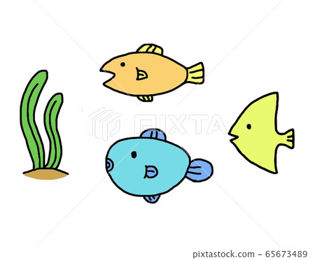 fish fish 65673489